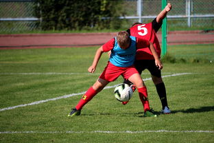 开云官方-中国足球俱乐部与国际学校合作开展足球课程，国内足球培训基地